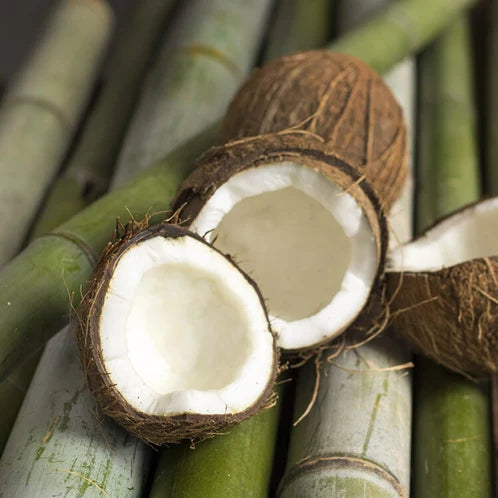 BAMBOO & COCONUT